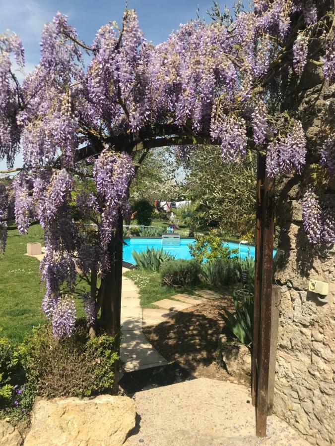 Chambres D'Hotes La Vallee Des Vignes Monthou-sur-Cher Dış mekan fotoğraf